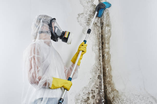 Mold Remediation for Rental Properties in Claypool Hill, VA